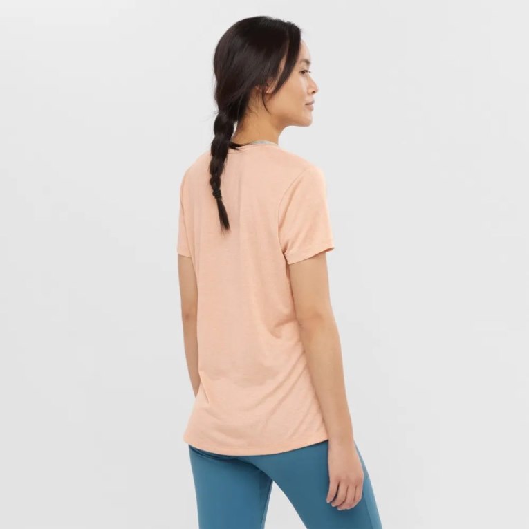 Apricot Salomon Agile Short Sleeve Women's T-Shirts | PH 26839G